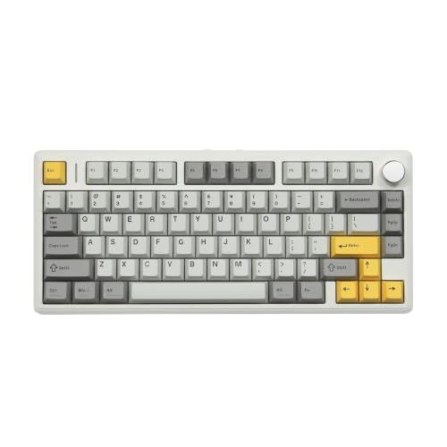 TH80 V2 75% ANSI US Layout Gasket Tri-Mode Wireless Mechanical Gaming Keyboard with 8000mAh Battey & RGB Backlight(Sea Salt Silent V2,White) - color: White, size: Sea Salt Silent V2