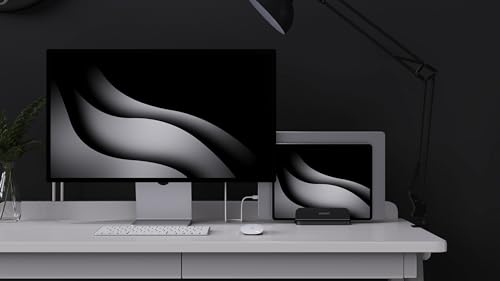 Dual Aluminum Vertical Laptop Stand Organizer, Sturdy Notebook Computer Holder Stand Compatible with New Liquid Retina XDR Apple MacBook Air/Pro/Neo, Mac mini & iPad Pro - Black - color: Black