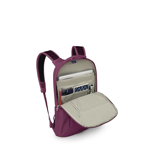 Osprey Ozone Slim Pack - Lightweight Laptop Backpack with AirScape Suspension, Water Bottle Pockets & Slim Travel Design - Fits Most 16" Laptops - Personal Item or Carry-On Compatible, Moody Burgundy - color: Moody Burgundy