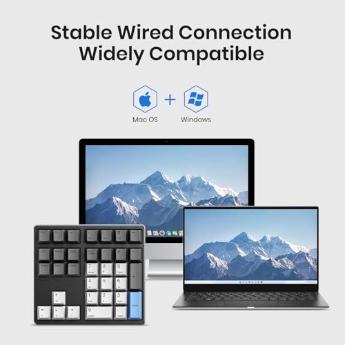 Kisnt KN34 Mechanical Numpad, Full-Function for Heavy Excel Financial | Wired 34 Keys Hot Swappable, PBT Keycaps with White Backlit, Laptop MacBook PC Desktop Compatible (Brown Switch) - color: Brown Switch