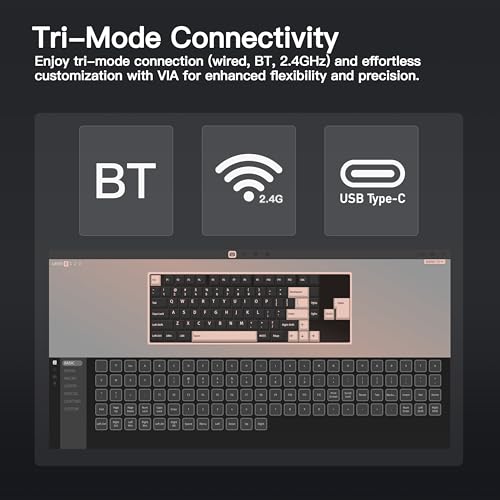 KEEBMONKEY WOBKEY Rainy 75 CNC Aluminum HMX/JWK/Cocoa Switches Triple-Mode Connectivity Mechanical Keyboard with Superior Acoustics, RGB/PP/Gradient Glass/3500mAh/Violet Switch (Standard - Black) - style: Standard - Black