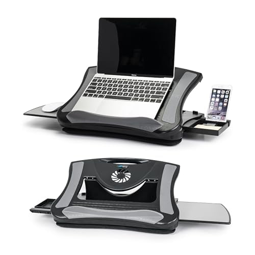 EHO Portable Lap Desk with Cushion, Detachable Mouse Pad Tray and Phone Holder, Adjustable Laptop Stand with 5 Angles, for Home, Office, Sofa, Bed