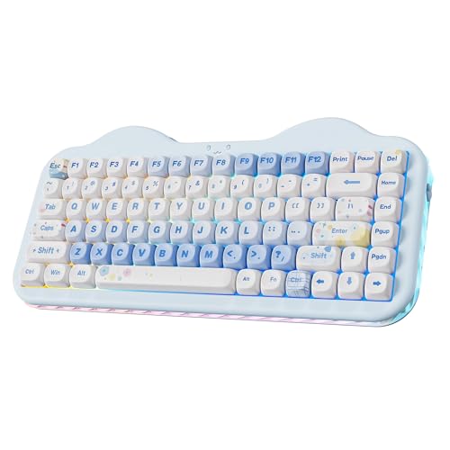 YUNZII C75 Cute 75% Wireless Mechanical Keyboard (Blue, Milk V2 Switch) | Creamy Cake Keyboard, BT5.0/2.4G/USB-C, Hot-Swap, NKRO, PBT MOA Keycaps,5500mAh RGB Gasket Mount for Mac/Win/Gaming/Office - color: Blue, size: Milk V2 Switch
