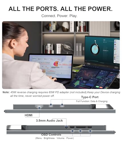 LB D16 Portable Dual Monitor 15.6 Inch 1080P FHD IPS Stacked Double Screen USB-C Mini HDMI Dual Display with Gravity Sensor HDR for Coding Stock Trading Office - size: D16 (Dual 15.6")