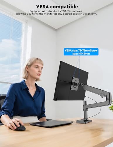 ZSCMALLS Portable Monitor, 15.6" 1080P FHD Laptop Monitor USB-C HDMI Computer Display IPS Second Screen, Laptop Extended Screen for PC Phone Mac Xbox PS4/5 Switch - size: 15.6 inch