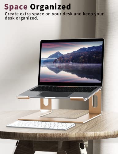 ALASHI Laptop Stand for Desk, Aluminum Computer Riser, Ergonomic Notebook Holder, Detachable Metal Laptops Elevator, PC Cooling Mount Support 10 to 15.6 Inches Notebook, Gold - color: D-Gold