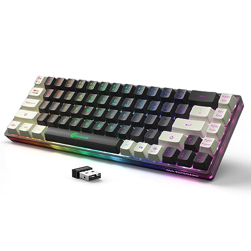 GEODMAER 65% Wireless Gaming Keyboard: LED Backlit, 68 Keys, Ultra-Compact, Anti-ghosting, No-Conflict Wireless Keyboard for PC Laptop Windows Gamer(Black-White)