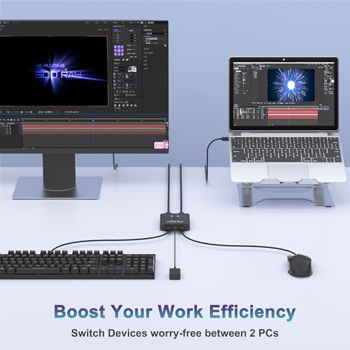 USB Switch 2 in 2 Out, USB Switcher 2 Computers Sharing Keyboard and Mouse Printer Scanner Webcam, Printer Splitter for 2 Computers, 2 Port USB Selector with 2 USB Cables and External Controller