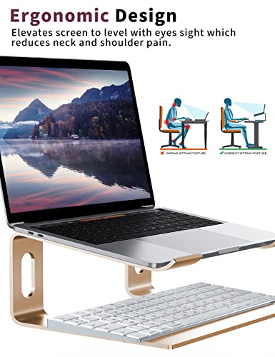 ALASHI Laptop Stand for Desk, Aluminum Computer Riser, Ergonomic Notebook Holder, Detachable Metal Laptops Elevator, PC Cooling Mount Support 10 to 15.6 Inches Notebook, Gold - color: D-Gold