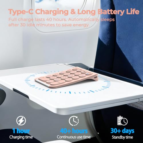 iClever Bluetooth Number Pad, 22 Keys Wireless Numeric Keypad, Rechargeable Mini Portable Numpad with Custom Stickers, Financial Accounting, Data Entry, Compatible with Laptop, Mac, Surface Pro, PC - color: Pink