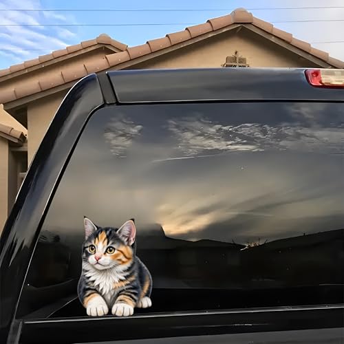 Waterproof Cute Calico Tabby Kitten Car Stickers – 5.5 Inch Vinyl Decals 2 Pack for Cars, Motorcycles, Laptops, Suitcases, Refrigerators, Walls, Doors, Bicycles, Removable Decorative Bumper Stickers