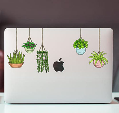 Plant Stickers (5pcs) - Strong Adhesive Waterproof Succulent Stickers - Do not Fade, Used for Notebook, Laptop, MacBook, Scrapbook, Ipad, Water Bottle