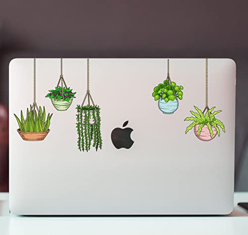 Plant Stickers (5pcs) - Strong Adhesive Waterproof Succulent Stickers - Do not Fade, Used for Notebook, Laptop, MacBook, Scrapbook, Ipad, Water Bottle