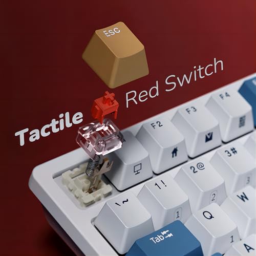 RK ROYAL KLUDGE RK98 Wireless Mechanical Keyboard, Triple Mode 2.4G/BT5.1/USB-C Custom Switches Keyboard with Number Pad, Pre-lubed Linear Switches RGB Backlit Gaming Keyboard, Software Support - color: White, size: Hot Swap Red Switch