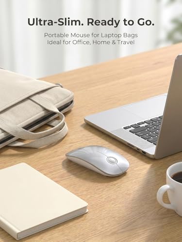 RAPIQUE Bluetooth Wireless Mouse, BT5.1/2.4G Dual Mode, Silver | Slim Profile, Two Ways to Connect, Quiet Click, Low Power, 1600 DPI, Portable for MacBook, Laptop, iPad and Chromebook - color: Silver