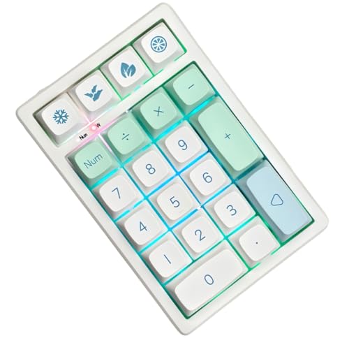 BOYI TD21 Hot Swap Numpad,21 Keys Mini Numpad Portable Keypad Bluetooth5.0/2.4G/Wired Number Pad Keyboard PBT Keycaps RGB Backlit Type-C Mini Keyboard (Mint XDA Keycaps) - color: Mint XDA Keycaps