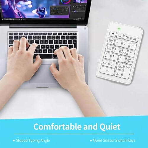 Wireless Number Pad with Battery, Enhanced Efficiency with 23 Keys Numeric Keypad Upgraded Version of 10 key USB Keyboard Financial Accounting Numpad for Laptop, PC, Notebook, Desktop,Surface Pro - style: 2.4GWirelessWhite