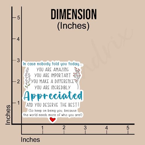 (3pcs) You are Amazing Important Incredibly Appreciated and You Deserve The Best Sticker Funny Sayings Motivational Inspirational Vinyl Decal for Tumbler Laptop Water Bottles Books Phone -Size 3x3
