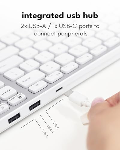 Macally Wired Keyboard for Mac with USB Hub (2X USB-A / 1x USB-C) - Compatible Backlit Apple Keyboard with Dual Interface - Auto OS Detection for Mac, MacBook, iMac, PC, Android, iPad, iOS - Silver - color: Silver