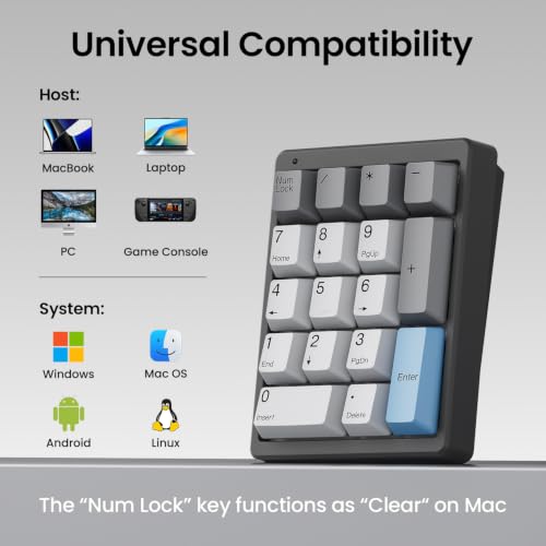 Kisnt MF17 Mechanical Numpad for Excel Financial Data Entry | QMK/VIA Programmable, Wired 17 Keys Hot Swappable, Custom RGB with PBT Keycaps for Laptops PC Compact Keyboards (Black) - color: Black