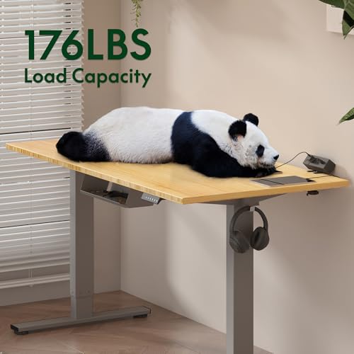 FLEXISPOT EN2 48"x24" Bamboo Electric Standing Desk with Power Strip | Solid Bamboo Desktop, Cable Management, Convenient Clamp Power Strip, And Clean Home Office Setup, Grey Frame - color: Bamboo Top + Grey Frame, size: 48x24"