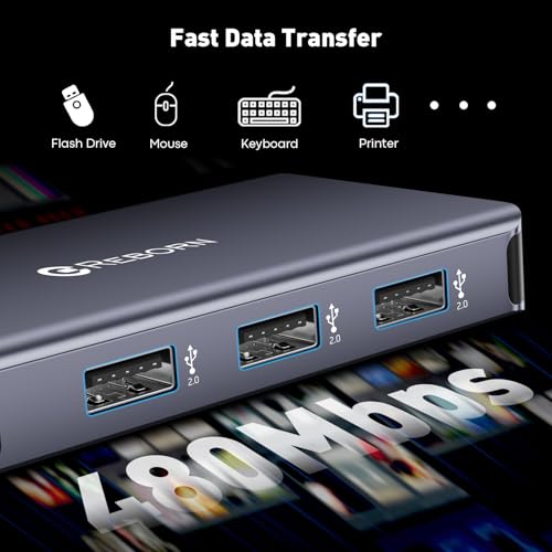 Reborn USB C Hub to Dual HDMI 4K, Docking Station Dual Monitor for Laptop, 6-in-1 USBC Dongle Adapter with 100W PD, 3 USB Ports, Portable HDMI Splitter Extended Display for Lenovo, HP, Dell, Surface