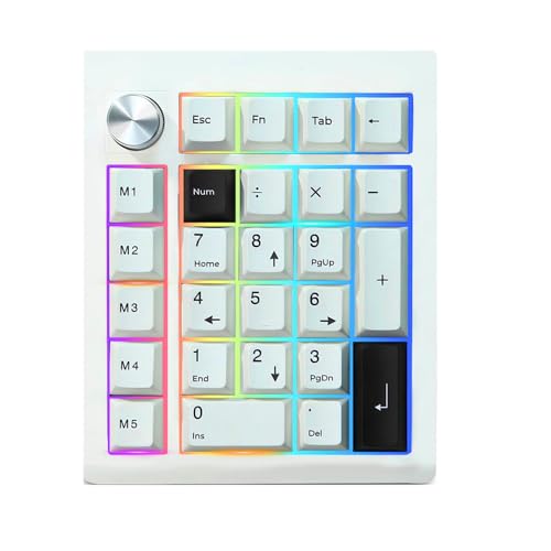 BOYI GMK26 Mechanical Numpad,VIA Programmable BT5.0/2.4GHz/Type-C Hot Swappable Gasket RGB Wireless Number Pad Mini Keyboard Rechargeable Numeric Keypad with Knob(White) - color: White