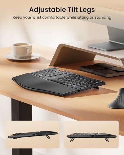 ProtoArc EK04 Mini Compact Wireless Ergonomic Keyboard - Black | Hard Palm Rest, 3-Device Bluetooth/2.4G, Split Design, Rechargeable, Compatible with Windows, Mac OS - color: Black