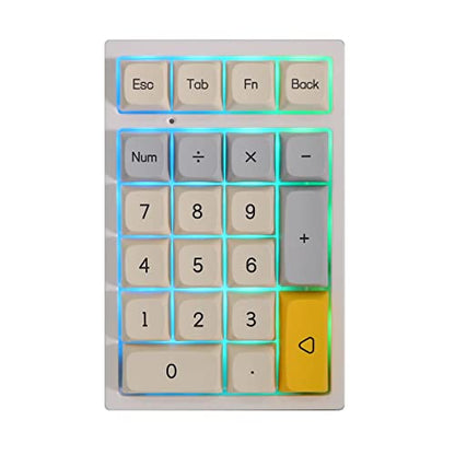 EPOMAKER TH21 21 Keys Hot Swap 2.4Ghz/Bluetooth 5.0/Wired Programmable RGB Mechanical Gaming Numpad with XDA Profile PBT Keycaps for Win/Mac (Geometry Grey, Gateron Pro Red)
