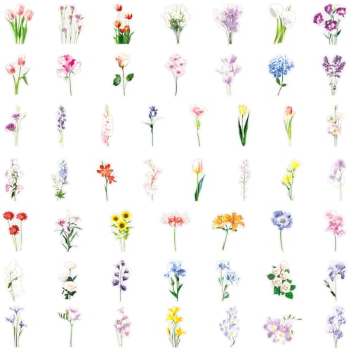 50pcs Fresh and Gentle Spring Flowers Stickers，Transparent Stickers for Scrapbook Supplies Cards Making Books Postcards Water Bottles Laptops Computer DIY, etc(colourful-B16) - color: Colourful-b16