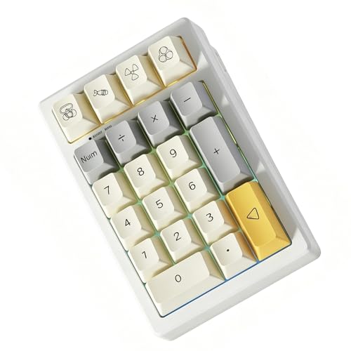 BOYI TD21 Hot Swap Numpad,21 Keys Mini Numpad Portable Keypad Bluetooth5.0/2.4G/Wired Number Pad Keyboard PBT Keycaps RGB Backlit Type-C Mini Keyboard (Heavy Industry XDA Keycaps) - color: Heavy Industry XDA Keycaps