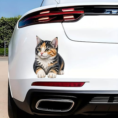 Waterproof Cute Calico Tabby Kitten Car Stickers – 5.5 Inch Vinyl Decals 2 Pack for Cars, Motorcycles, Laptops, Suitcases, Refrigerators, Walls, Doors, Bicycles, Removable Decorative Bumper Stickers