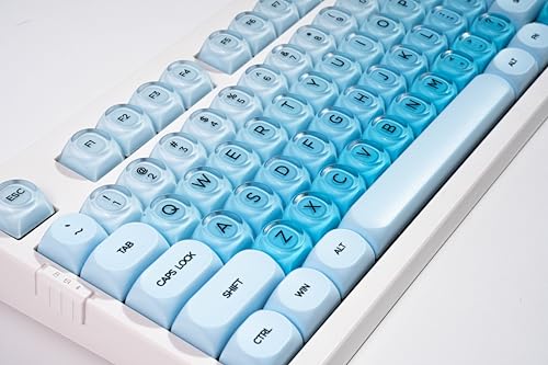 ZORNHER ZH980 Foundation Wireless Mechanical Keyboard,95% Blue Creamy Keyboard with Number Pad,Hot-Swappable Gaming Keyboard,Jelly Keycaps,Creamy Sounding Linear Switches,Hot-Swappable,Full Size - color: Blue Foundation, size: Creamy Switch