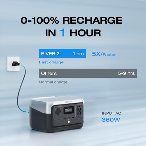 EF ECOFLOW Portable Power Station RIVER 2 with 45W Solar Panel, 256Wh LiFePO4 Battery/ 1 Hour Fast Charging, Up to 600W Output, Solar Generator for Outdoor Camping/RVs/Home Use - style: RIVER 2+45W Solar Panel