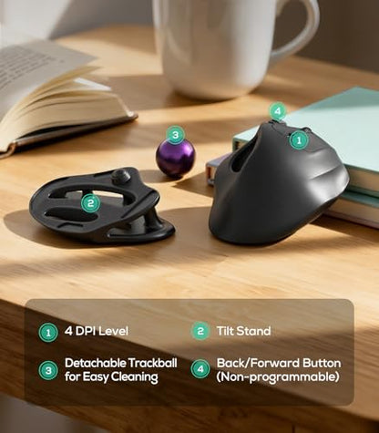 Nulea M511 Wireless Trackball Mouse, Rechargeable Ergonomic Thumb-Control Mouse with Tilt Stand, Smooth & Precision Tracking, 3 Device Connection (Bluetooth or USB Receiver), for PC/Mac/Laptop-Purple - color: C-Purple