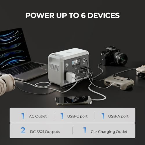 DYNESS Portable Power Station 300W with 100W Foldable Solar Panel, 256Wh Solar Generator with 110V Pure Sine Wave AC Outlet, LiFePO4 Battery for Camping, Home Backup, RV, Outdoor - size: 256Wh 300W + 100W Solar Panel