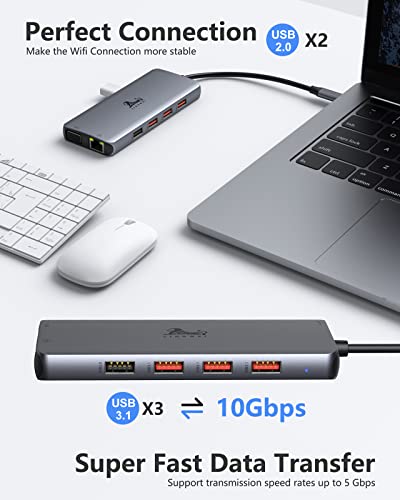 LIONWEI Laptop Docking Station Dual Monitor, 11-in-1 to 4K HDMI,VGA,Gigabit Ethernet,3 USB 3.1 10G,2 USB 2.0,87W PD,Audio for Dell/Surface/HP/Lenovo Laptops