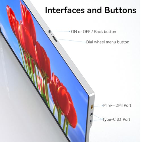 VSDISPLAY 14'' 1920x1200 IPS Laptop Screen Extender Portable Dual Monitor | with Mini H/D USB-C Interfaces,Plug and Play,for 13.3''-16'' Laptops - color: 14'' 1920x1200 LCD