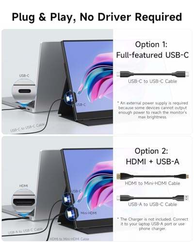 15.6" Portable Monitor, 1080P FHD Ultra-Light 1.28lb External Monitor | 85% sRGB, Anti-Glare, Low Blue Light, 60Hz, Kickstand Case, USB-C & Mini HDMI for MacBook, Laptop, Switch, PS5, Xbox & Phones - size: 15.6 inches