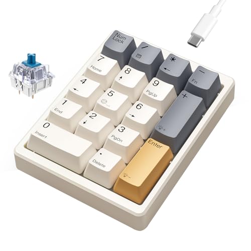 Kisnt KN17 Mechanical Numpad for Excel Financial Data Entry | Wired 17 Keys Hot Swappable, PBT Keycaps with White Backlit, Shortcut Input Device for Laptops PC Compact Keyboards - color: Blue Switch