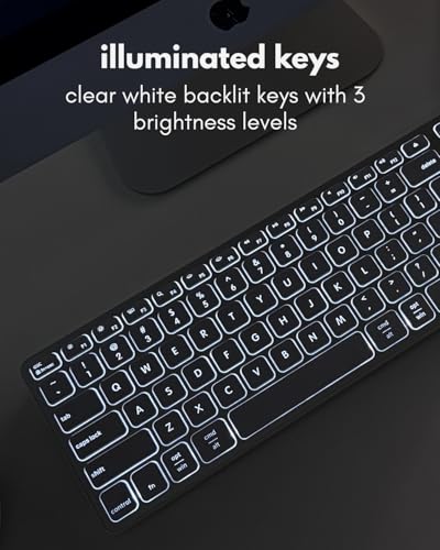 Macally Wired Keyboard for Mac with USB Hub (2X USB-A / 1x USB-C) - Compatible Backlit Apple Keyboard with Dual Interface - Auto OS Detection for Mac, MacBook, iMac, PC, Android, iPad, iOS - Silver - color: Silver