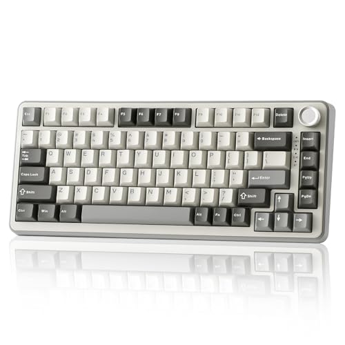 YUNZII B75 PRO Wireless Mechanical Gaming Keyboard | Custom 75% Layout with Knob,Gasket Mount,Hot Swap,Creamy Pre-lubed Switch,BT/USB-C/2.4G(Milk Switch,Grey) - color: Grey, size: Milk Switch