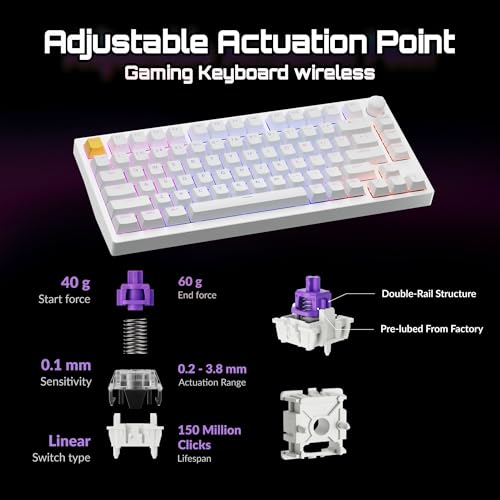 LEMOKEY P1 HE 75% Wireless Custom Mechanical Gaming Keyboard with Gateron Double-Rail Magnetic Switches Knob Version, QMK 2.4 GHz Bluetooth 5.2 RGB Backlight Compatible with Mac Windows Linux - White - color: Shine-Through-White