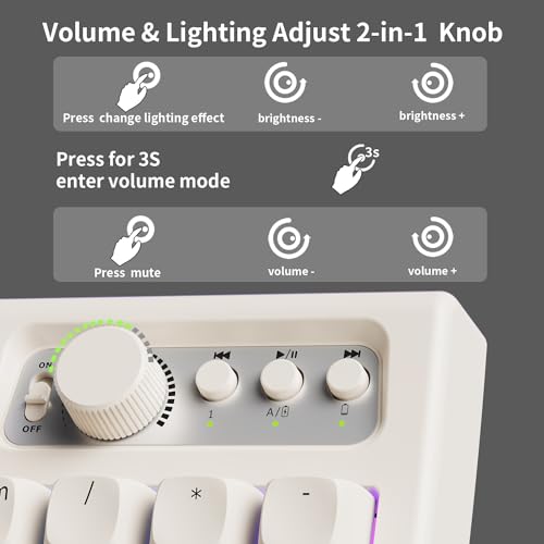 SEUNKWANG EWEADN V97 Cute Creamy Keyboard, Bluetooth/2.4GHz Gaming Keyboard Wireless with RGB Backlit, Media Knob, Curved Body, Rechargeable Quiet Computer Keyboards for MAC Xbox PC Gamer-White
