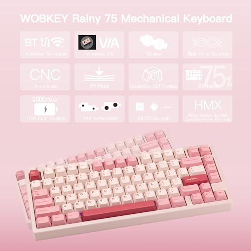 KEEBMONKEY WOBKEY Rainy 75 CNC Aluminum HMX/JWK/Cocoa Switches Triple-Mode Connectivity Mechanical Keyboard with Superior Acoustics, RGB/PP/Mirrored Glass/3500mAh/Violet Switch (Standard - Pink) - style: Standard - Pink