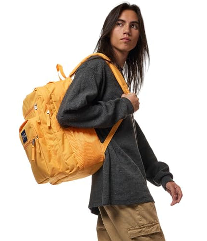 JanSport Laptop Backpack - Computer Bag with 2 Compartments, Ergonomic Shoulder Straps, 15” Laptop Sleeve, Haul Handle - Orange Soda - color: Orange Soda