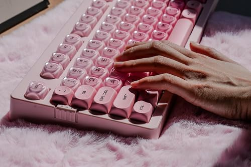 ZORNHER ZH980 Foundation Mechanical Keyboard,95% Pink Creamy Keyboard with Number Pad,Cute Jelly MOA Profile Keycaps,Creamy Sounding Linear Switches,Hot-Swappable,RGB Backlit - color: Pink Foundation, size: Creamy Switch