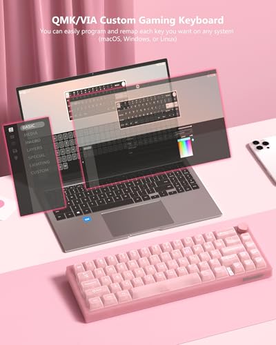 Womier 60% Keyboard QMK/VIA, Pink Gaming Mechanical Keyboard Creamy | Hot Swappable Gasket Mount RGB Wired Jade Keyboard, Jelly Keycaps POM Linear Switch for Windows/MAC(VK66 PRO Jelly) - color: V-Pink