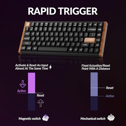 Keychron K2 HE Rapid Trigger Wireless Custom Keyboard with Hall Effect Gateron Double-Rail Magnetic Switch, QMK 2.4 GHz Bluetooth 5.2 RGB Compatible with Mac Windows Linux (Aluminum + Wood) - color: Gateron Double-Rail Magnetic Switch - Black