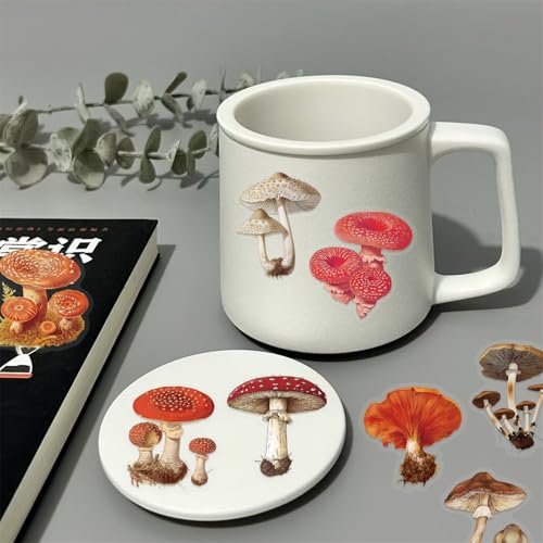 Clear Mushroom Stickers,50PCS Cute Mushroom Scrapbook Stickers for Journaling, Junk Journal, Water Bottles, Phone Cases, Laptops, Waterproof Transparent Scrapbook Supplies(colourful-B10) - color: Colourful-b10